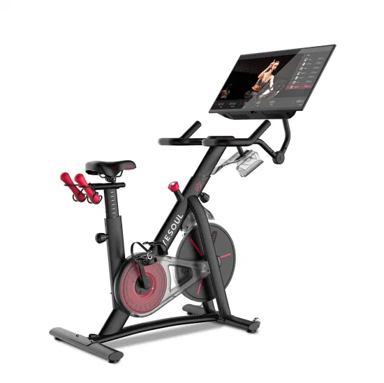 Smart Home Use Exercise Bike with 32 Inches TV Projectable Screen Spinning Bike