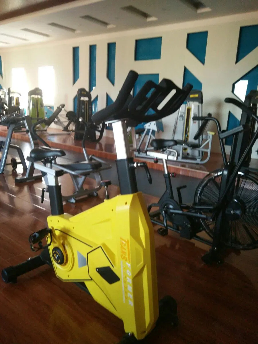 Hot Sale Exercising Bike Commercial Cardio Gym Fitness Equipment (AXD-S500)